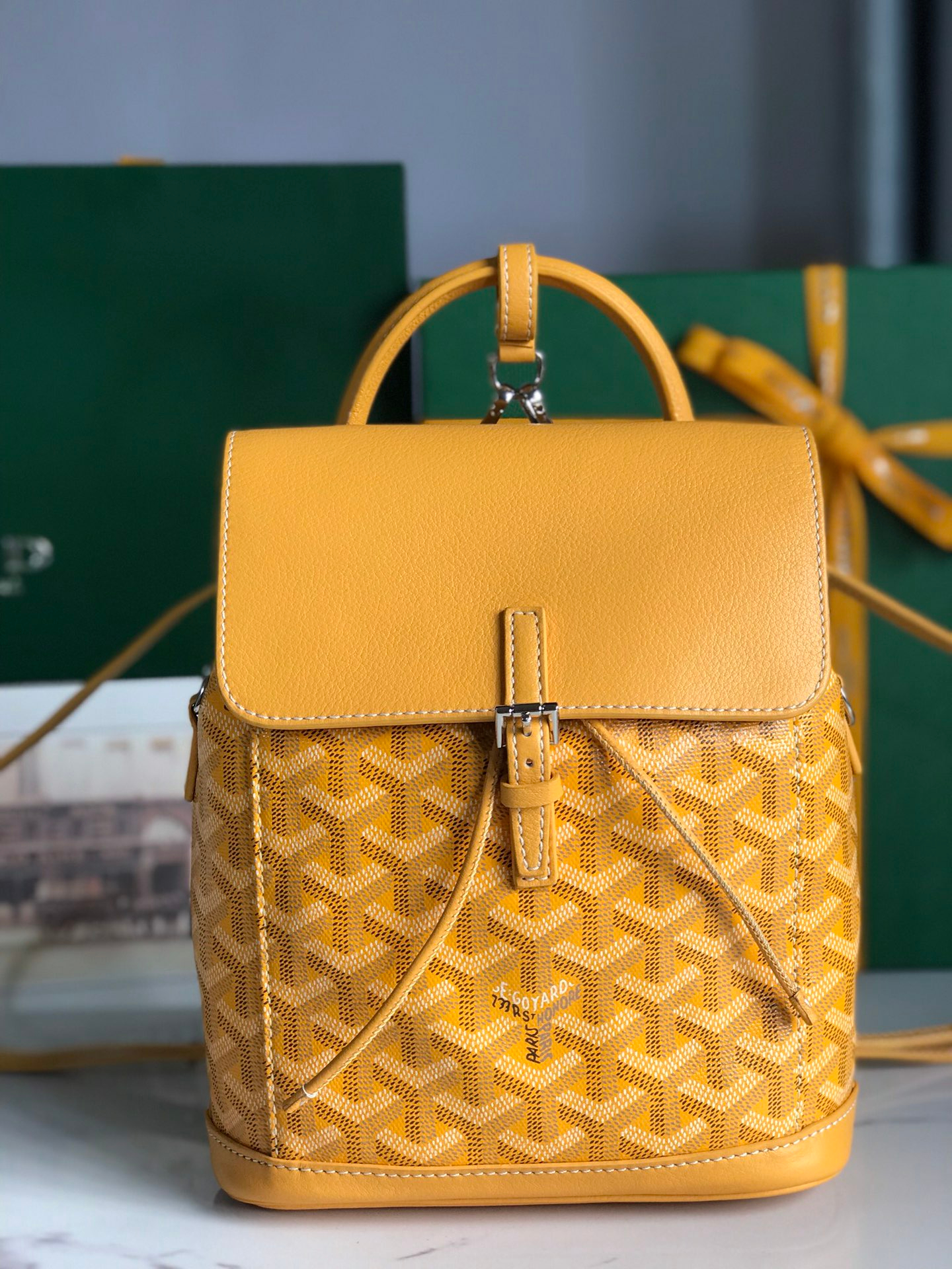 Goyard Bag – Montanamode