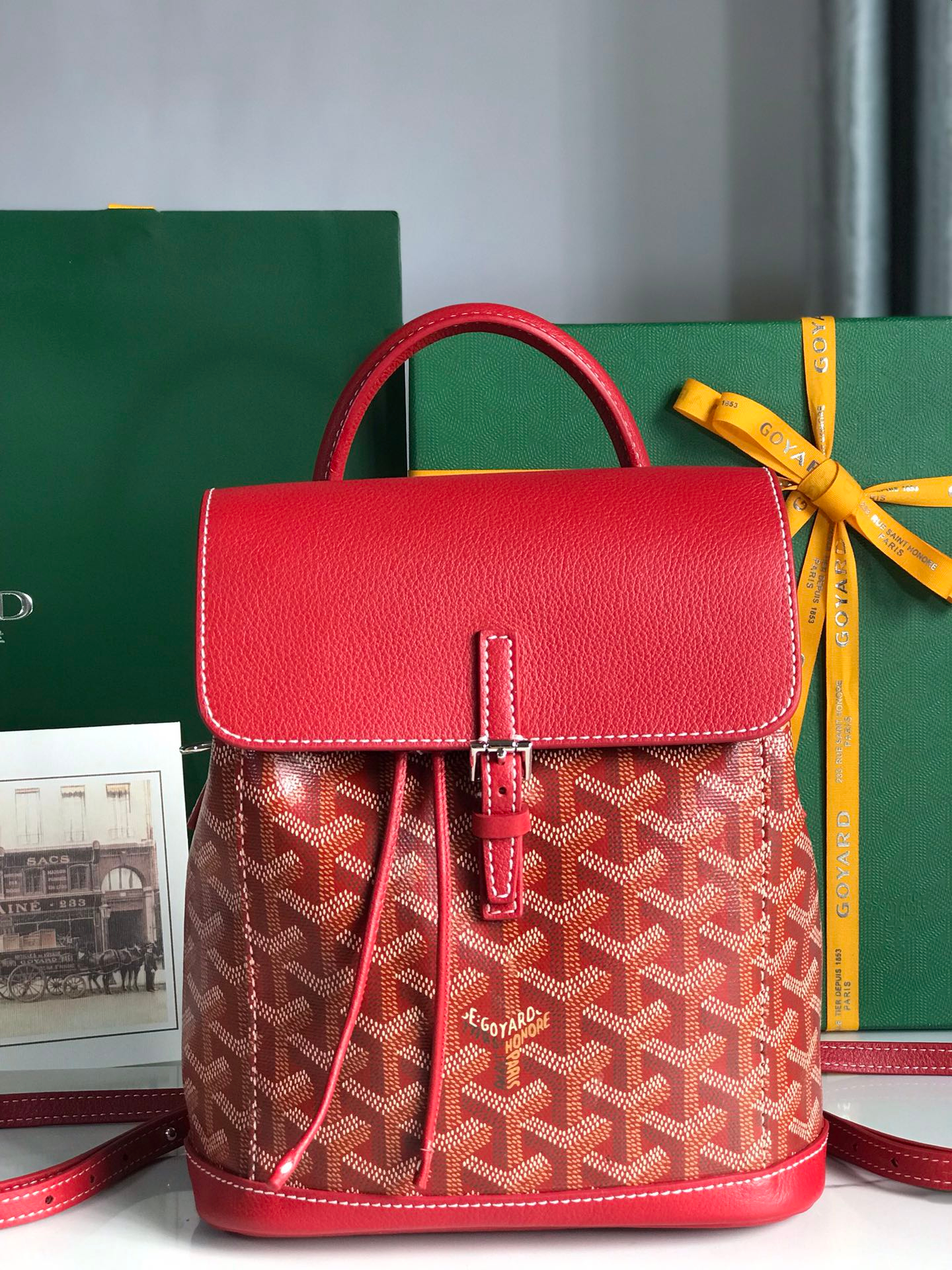 Goyard Bag – Montanamode