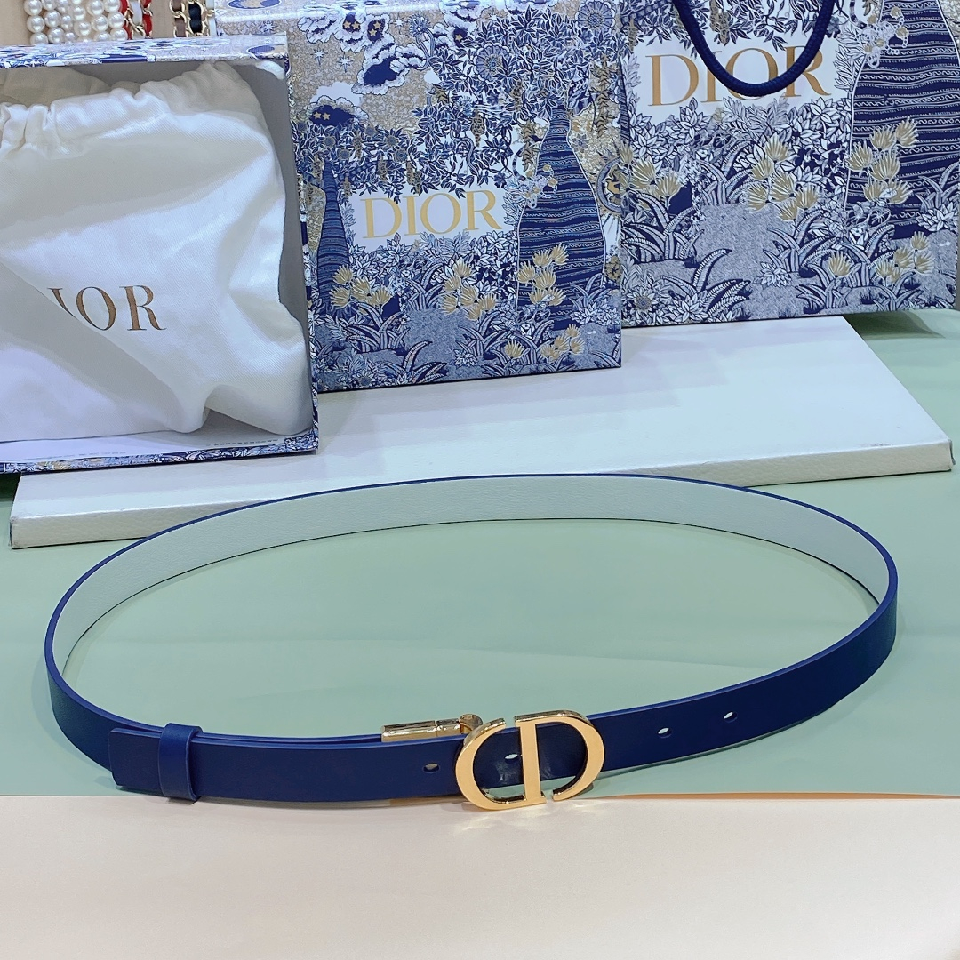 Dior Belt – Montanamode