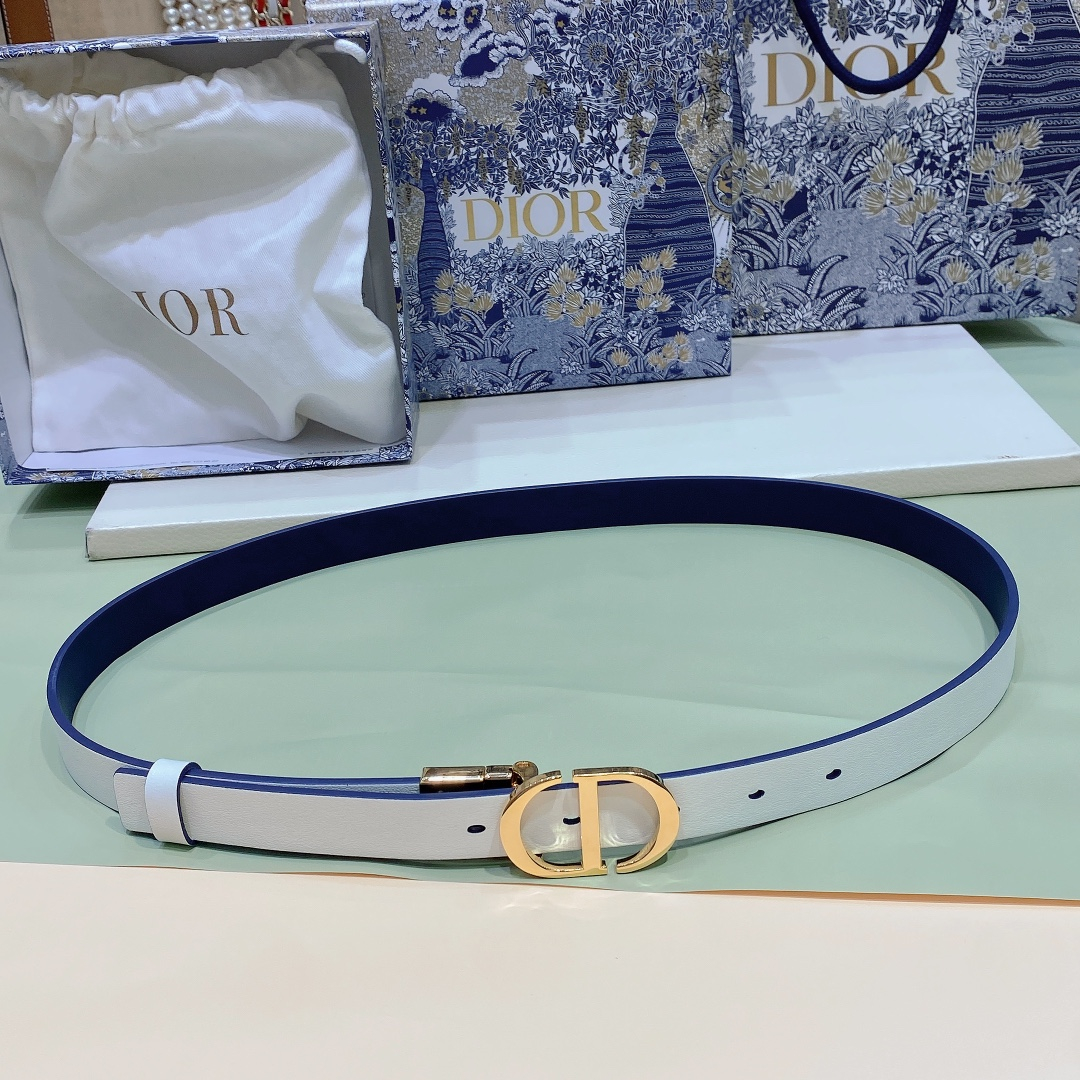 Dior Belt – Montanamode