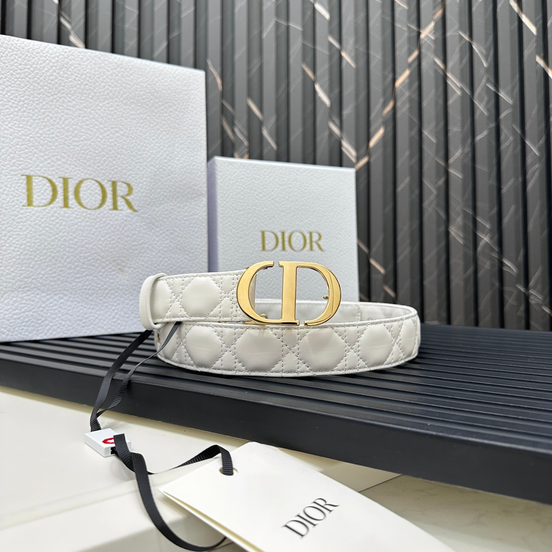 Dior Belt – Montanamode
