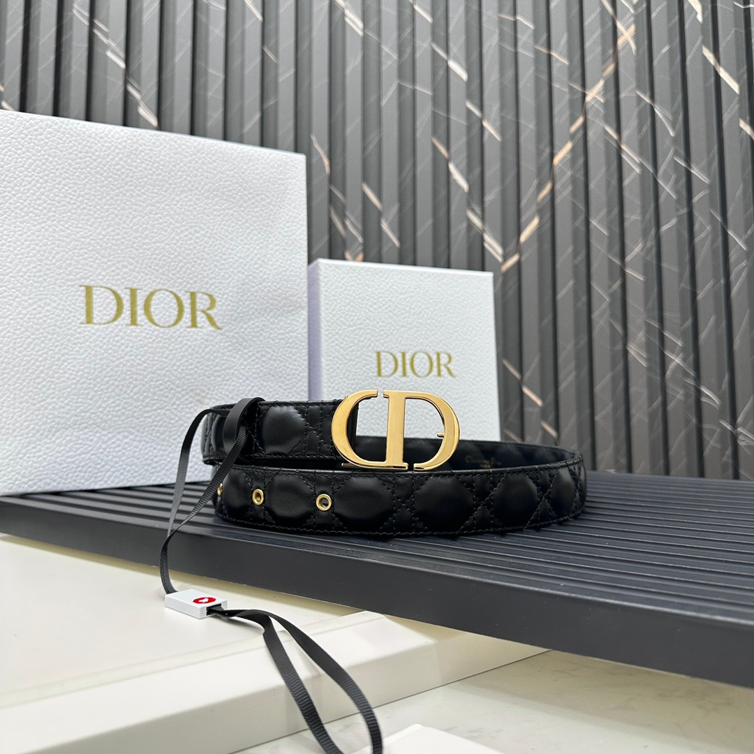 Dior Belt – Montanamode