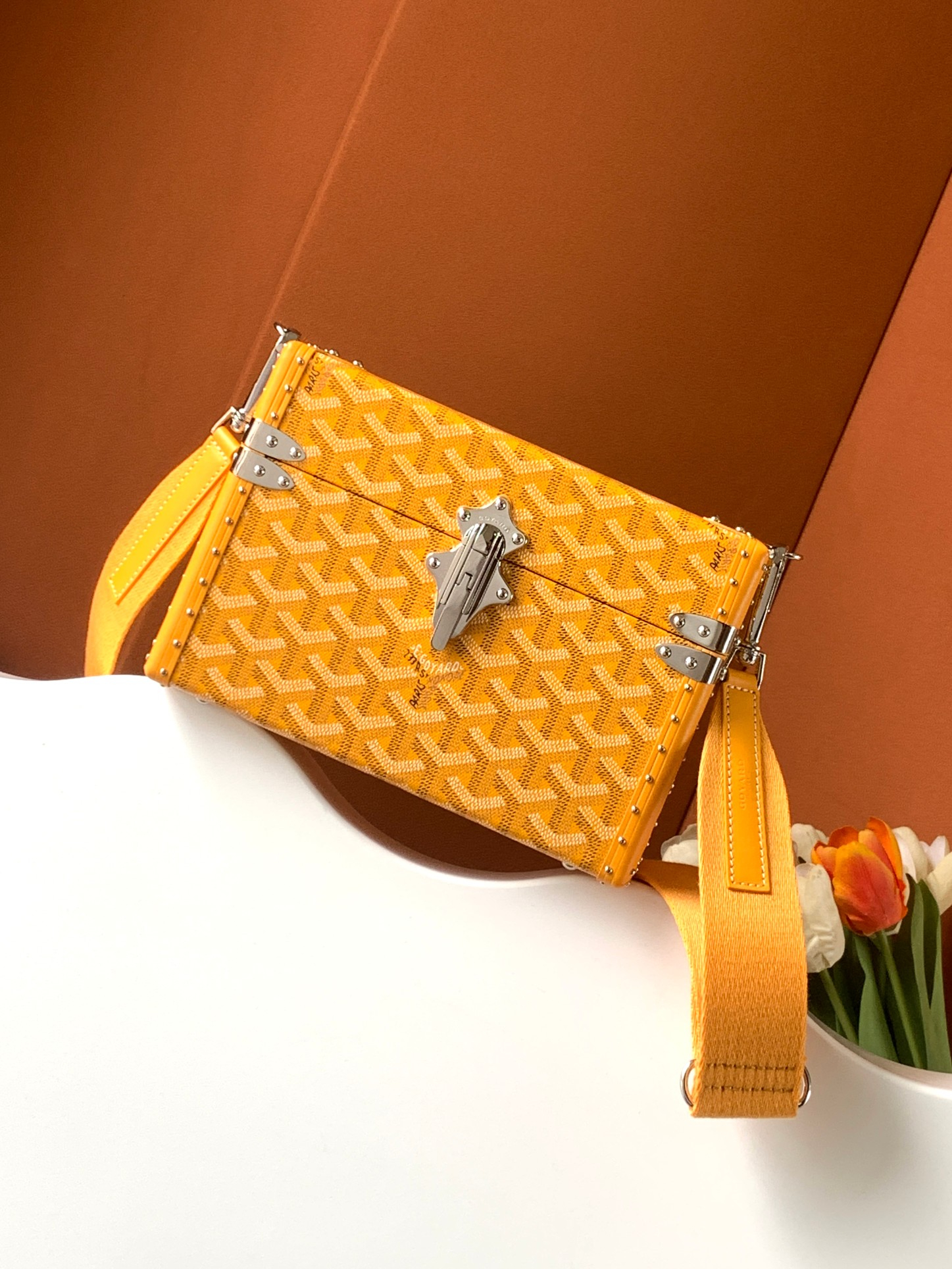 Goyard Bag – Montanamode