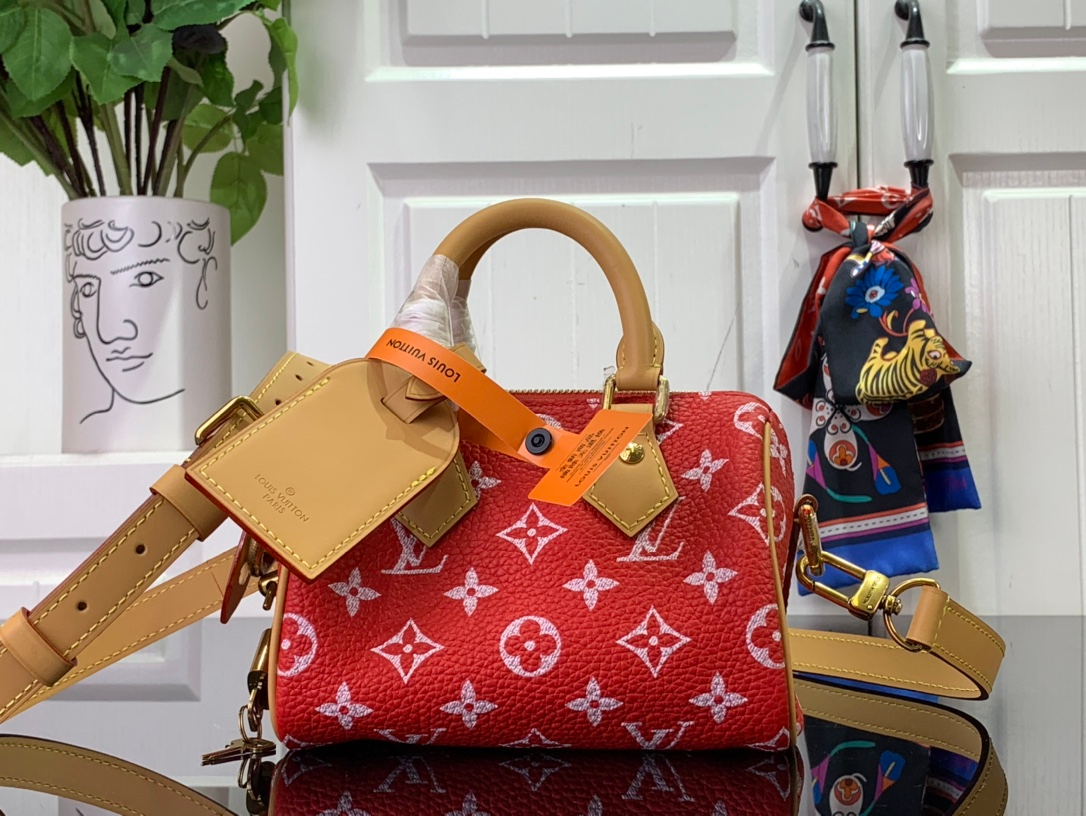 Louis Vuitton Bag – Montanamode