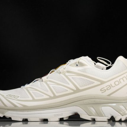 Shop for and buy SALOMON XT-6  412529